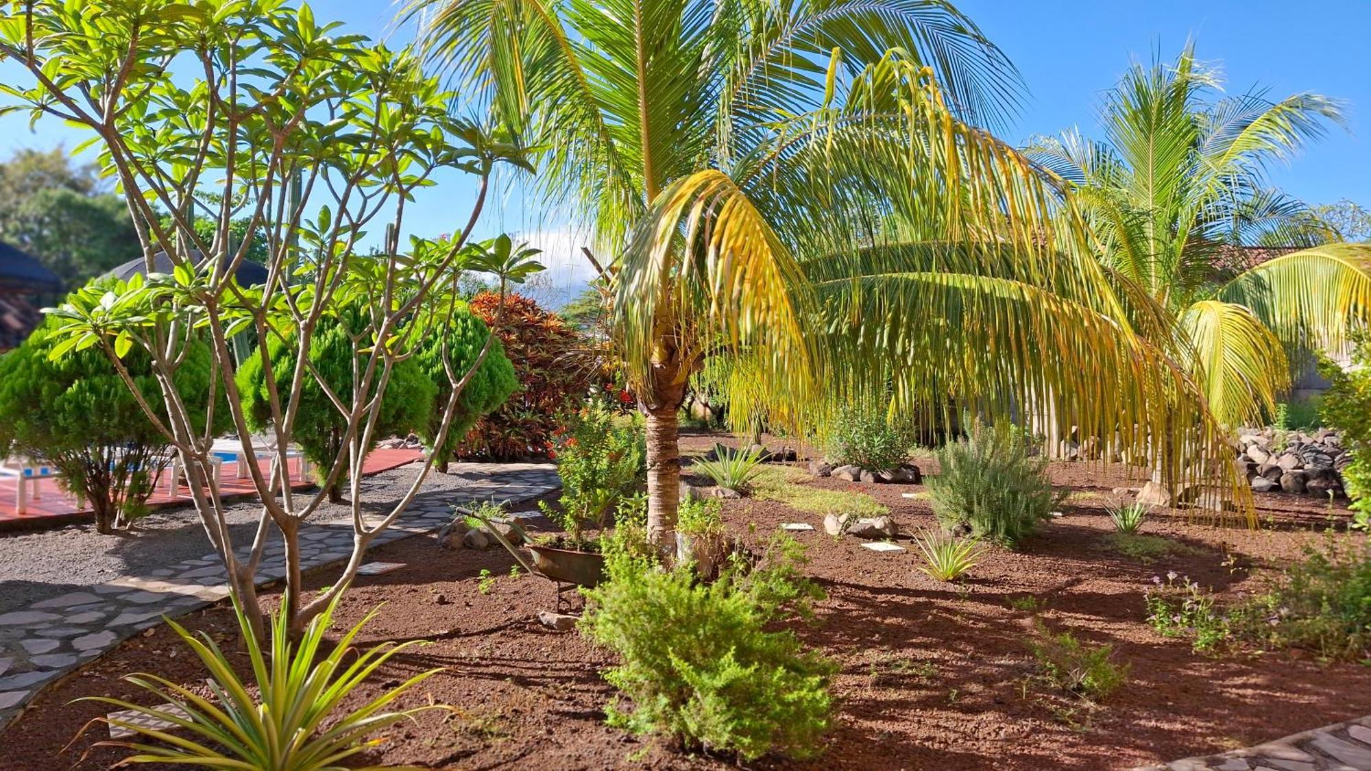 Hotel Jardin Garden De Granada Nicaragua Bagian luar foto