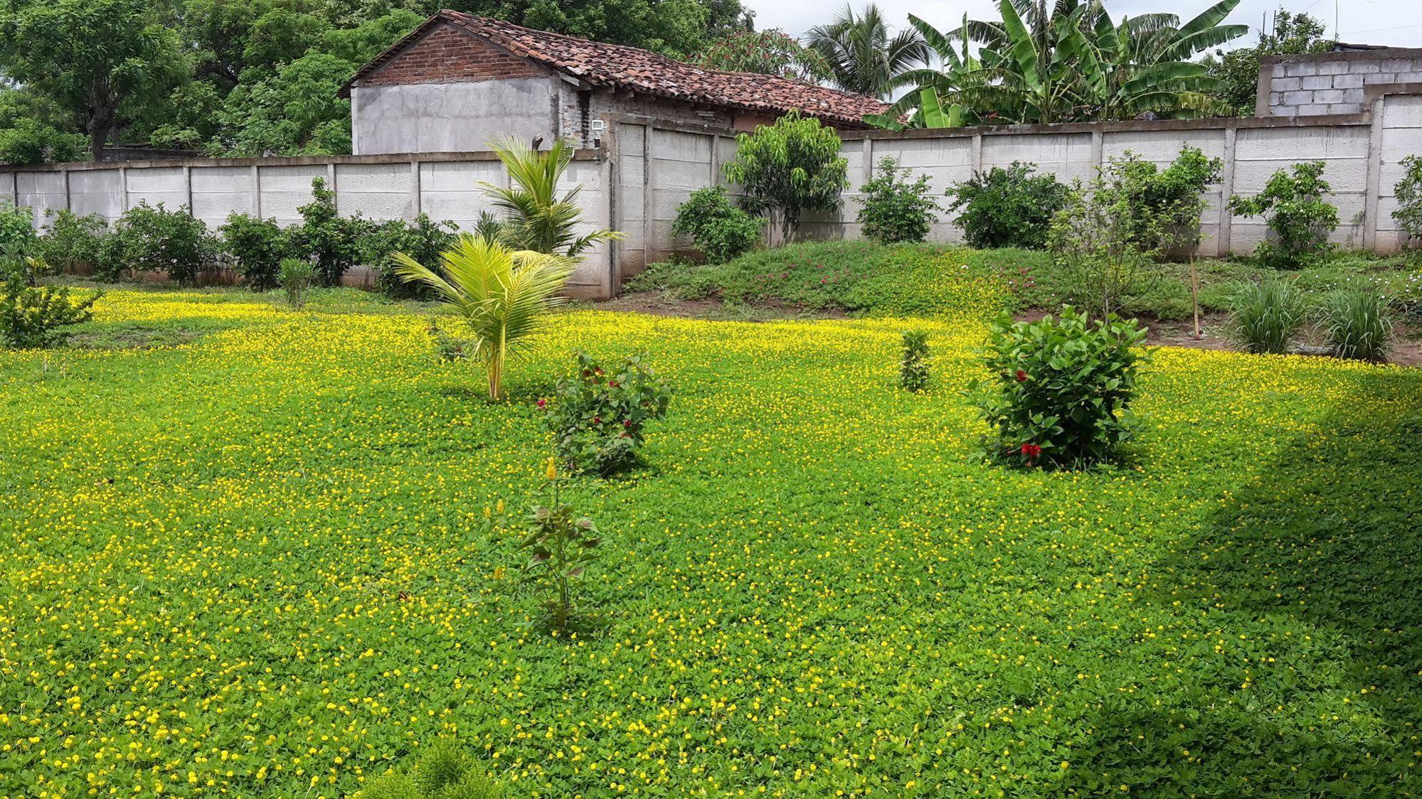 Hotel Jardin Garden De Granada Nicaragua Bagian luar foto